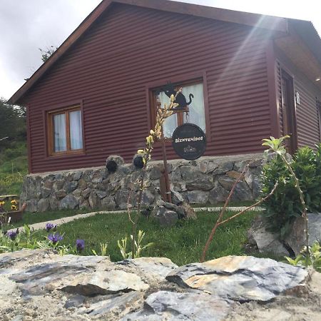 Cabanas "Las Margaritas" Ushuaia Dış mekan fotoğraf